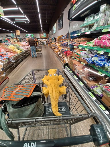 Supermarket «ALDI», reviews and photos, 3123 W South Airport Rd, Traverse City, MI 49684, USA