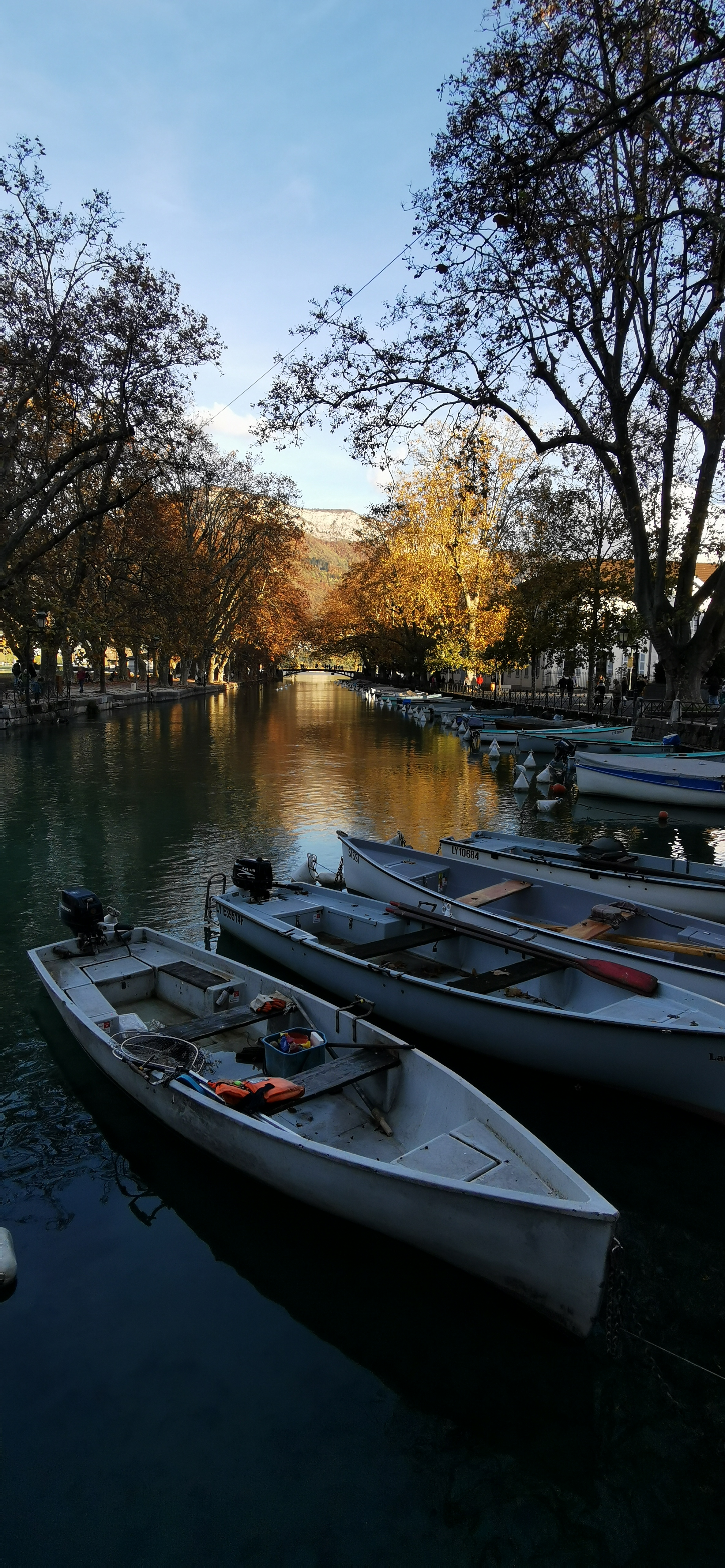 Photo n° 12 de l'avis de pascalsaintjames. fait le 20/11/2023 à 14:11