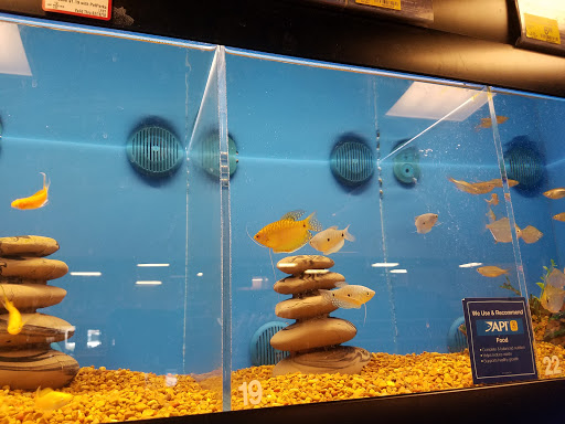 Pet Supply Store «PetSmart», reviews and photos, 3101 Market Center Drive, Morrisville, NC 27560, USA