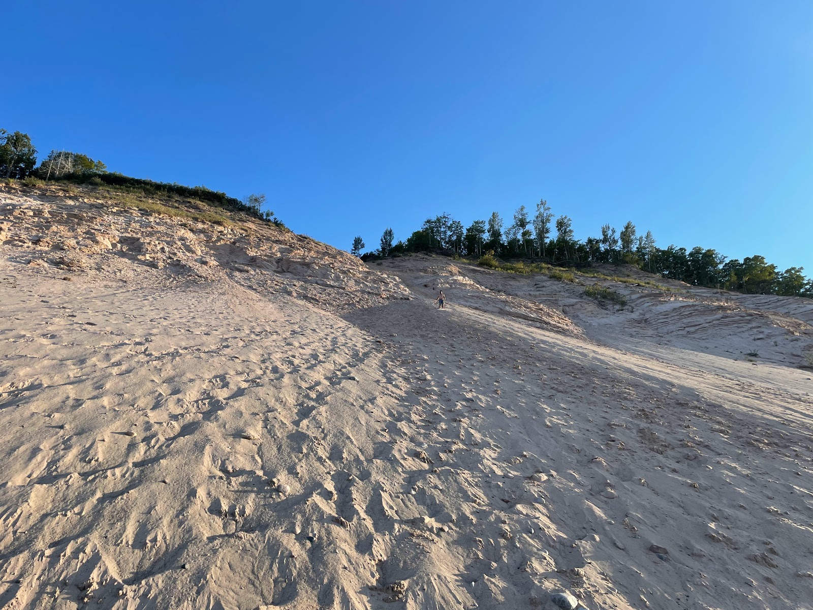 Log Slide Beach'in fotoğrafı çok temiz temizlik seviyesi ile