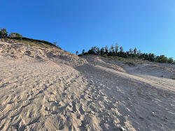 Log Slide Beach'in fotoğrafı çok temiz temizlik seviyesi ile