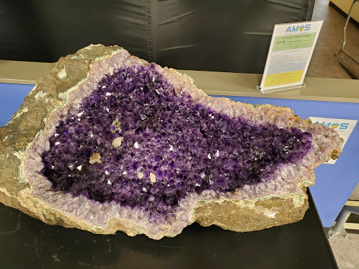 Science Museum «Asheville Museum of Science», reviews and photos, 43 Patton Ave, Asheville, NC 28801, USA