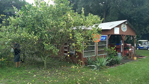 Farm «Butrico Groves Orange Grove», reviews and photos, 6065 Magnolia St, Mims, FL 32754, USA