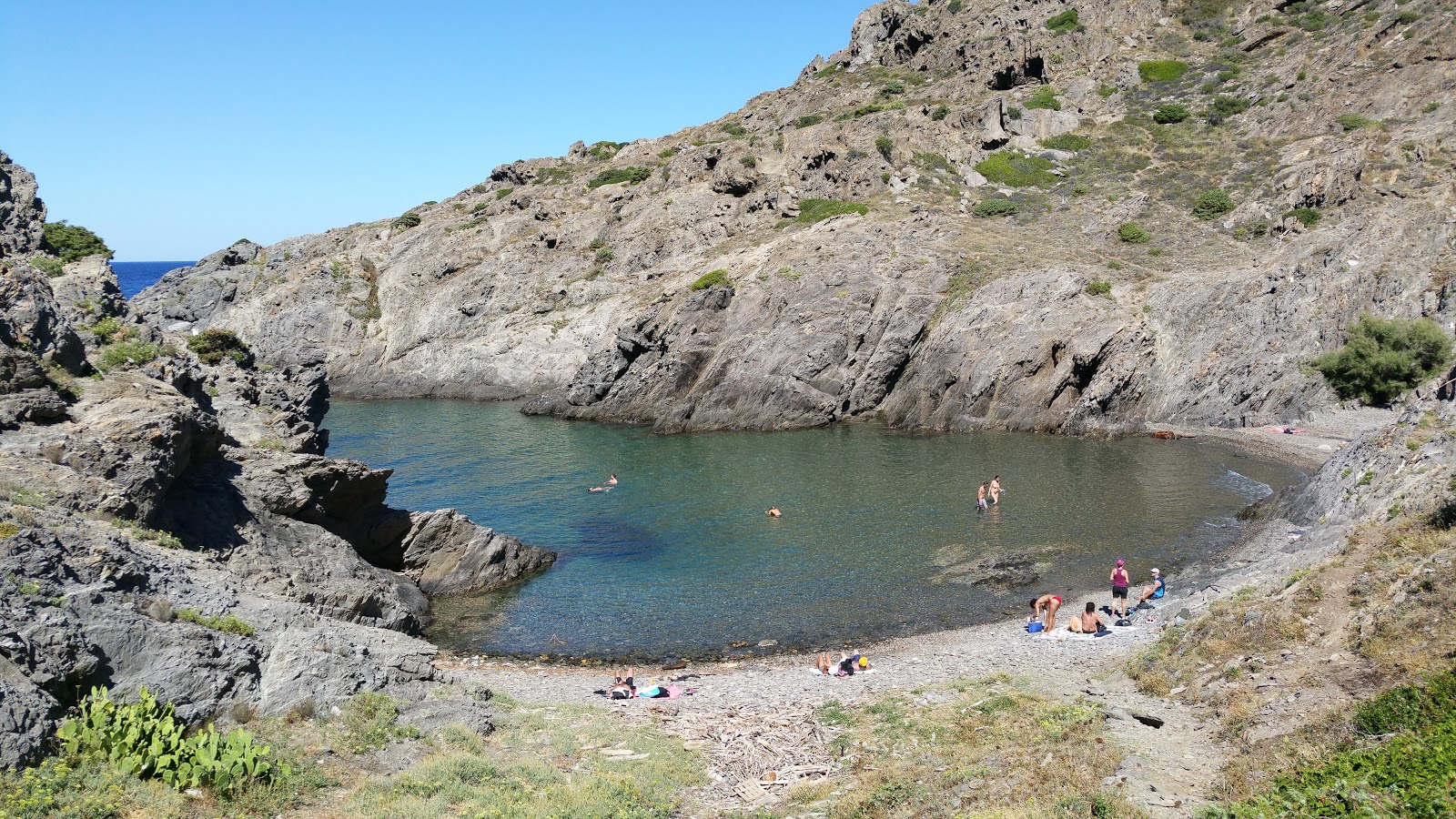 Cala Fornells的照片 位于自然区域