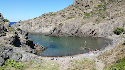 Photo de Cala Fornells situé dans une zone naturelle