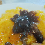 Photo n°2 de l'avis de mario.a fait le 08/02/2024 à 12:41 sur le  Cer à Vigevano