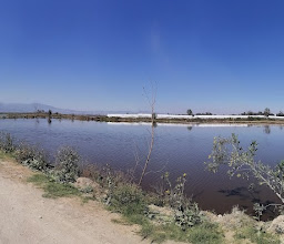 Laguna de San Gregorio Atlapulco photo