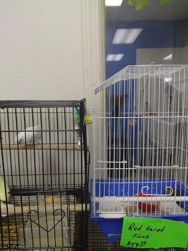 Shopping Mall «Southern Hills Shopping Ctr», reviews and photos, 1307 Southern Hills Center, West Plains, MO 65775, USA