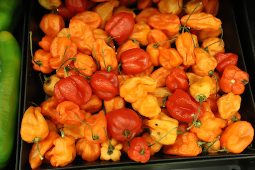 Grocery Store «Food Lion», reviews and photos, 219 Colloredo Blvd, Shelbyville, TN 37160, USA