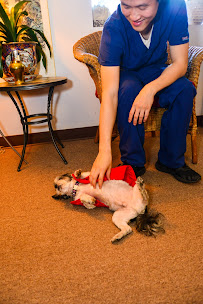 Shie Ji Acupuncture and Chiropractic - Photo 4 - Car repair in Little Rock, AR, Little Rock