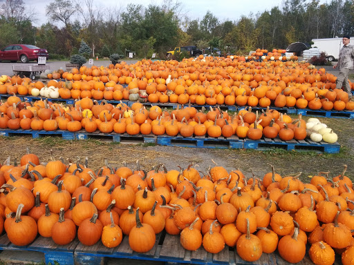 Produce Market «The Bigsby Market», reviews and photos, 1418 Dryden Rd, Freeville, NY 13068, USA