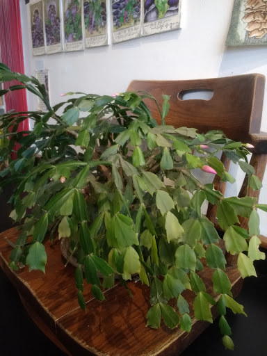 Coffee Shop «Burial Grounds», reviews and photos, 211 5th Ave SE, Olympia, WA 98501, USA