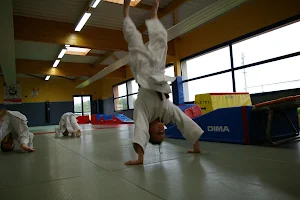 Judo Racquinghem image