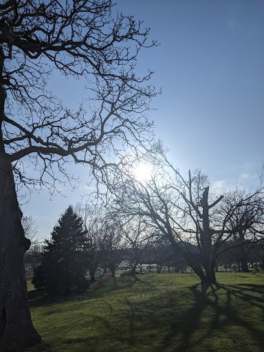 Supermarket «The Harrison Market», reviews and photos, 355 Halstead Ave, Harrison, NY 10528, USA