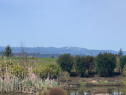 Winery «Colene Clemens Vineyards», reviews and photos, 22501 NE Dopp Rd, Newberg, OR 97132, USA