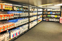 Do It Yourself Pest and Weed Control - Photo 7 - Car repair in Tucson, AZ, Tucson