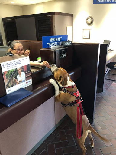 Auto Insurance Agency «State Farm: Craig Winton», reviews and photos