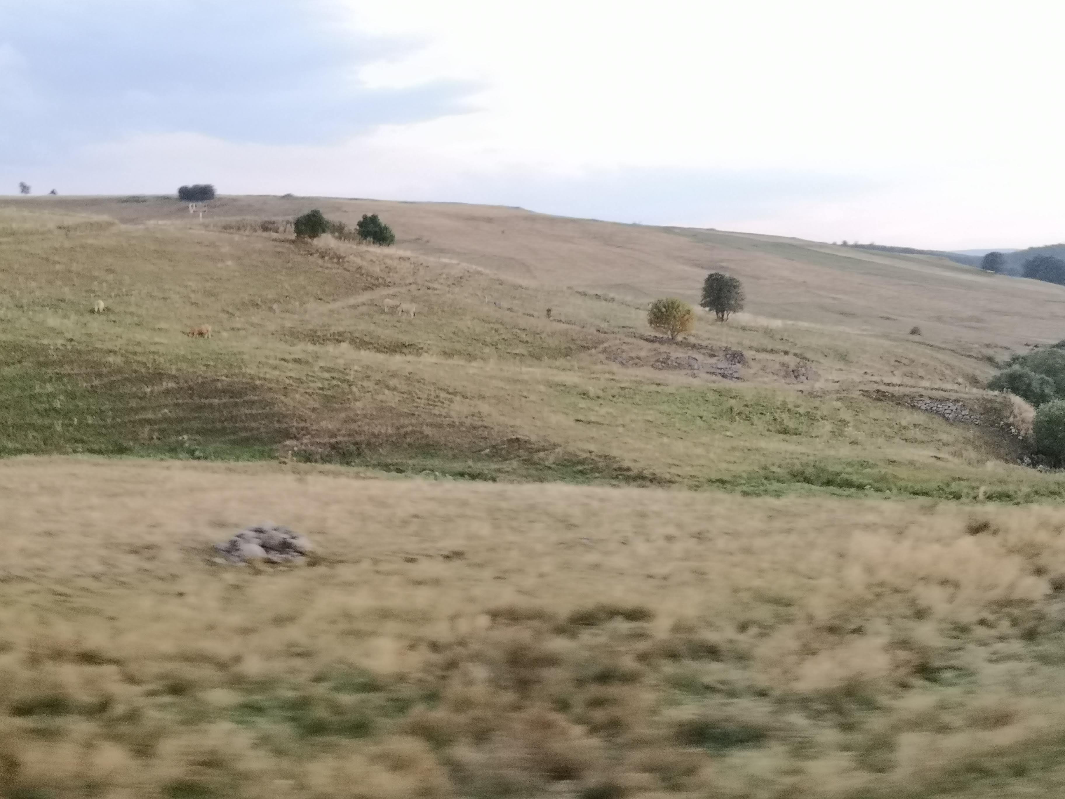 Photo n° 3 de l'avis de Chrisc.c fait le 27/08/2023 à 06:38