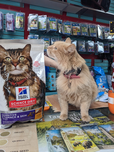 Pet Supply Store «Dogge Style Pets Passyunk», reviews and photos, 1700 E Passyunk Ave, Philadelphia, PA 19148, USA
