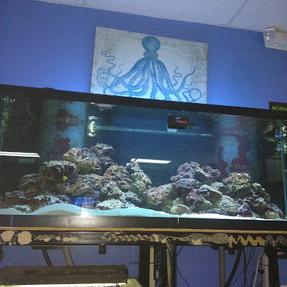 Aquarium Fish & Supply