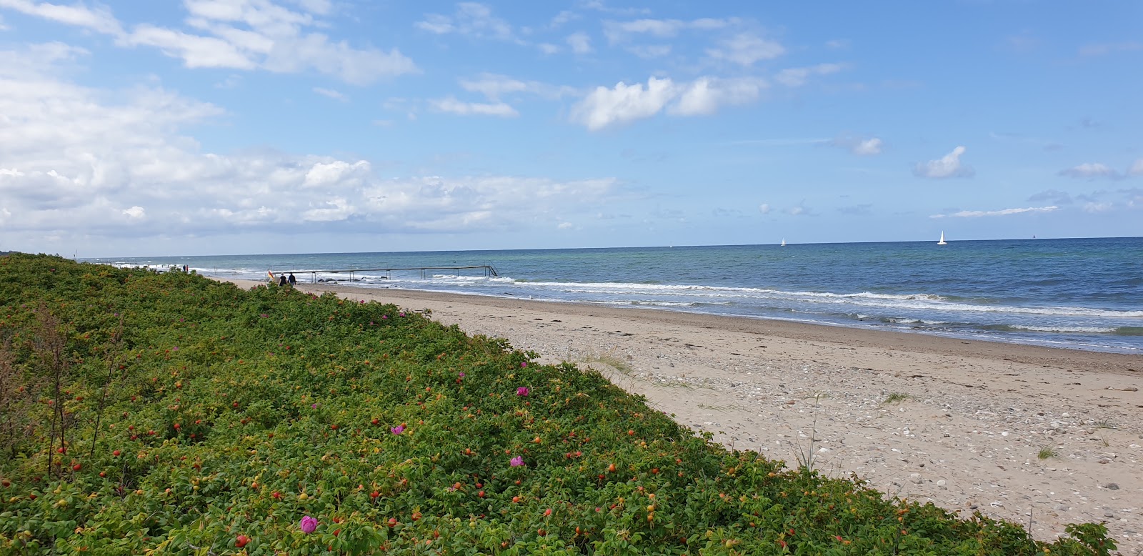 Smidstrup Beach'in fotoğrafı geniş plaj ile birlikte