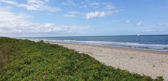 Smidstrup Beach