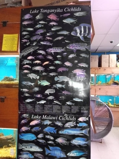 Pet Supply Store «Tropical World Pets», reviews and photos, 8444 Watson Rd, Webster Groves, MO 63119, USA