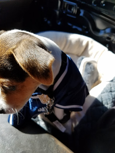 Pet Supply Store «Pet Club Chandler», reviews and photos, 3165 S Alma School Rd, Chandler, AZ 85248, USA