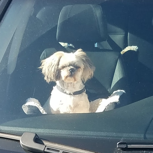 Car Repair and Maintenance «Midas», reviews and photos, 1543 Del Monte Blvd, Seaside, CA 93955, USA