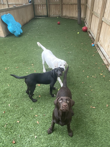 Pet Boarding Service «All About Pets», reviews and photos, 130 Arrow Rd #102, Hilton Head Island, SC 29928, USA