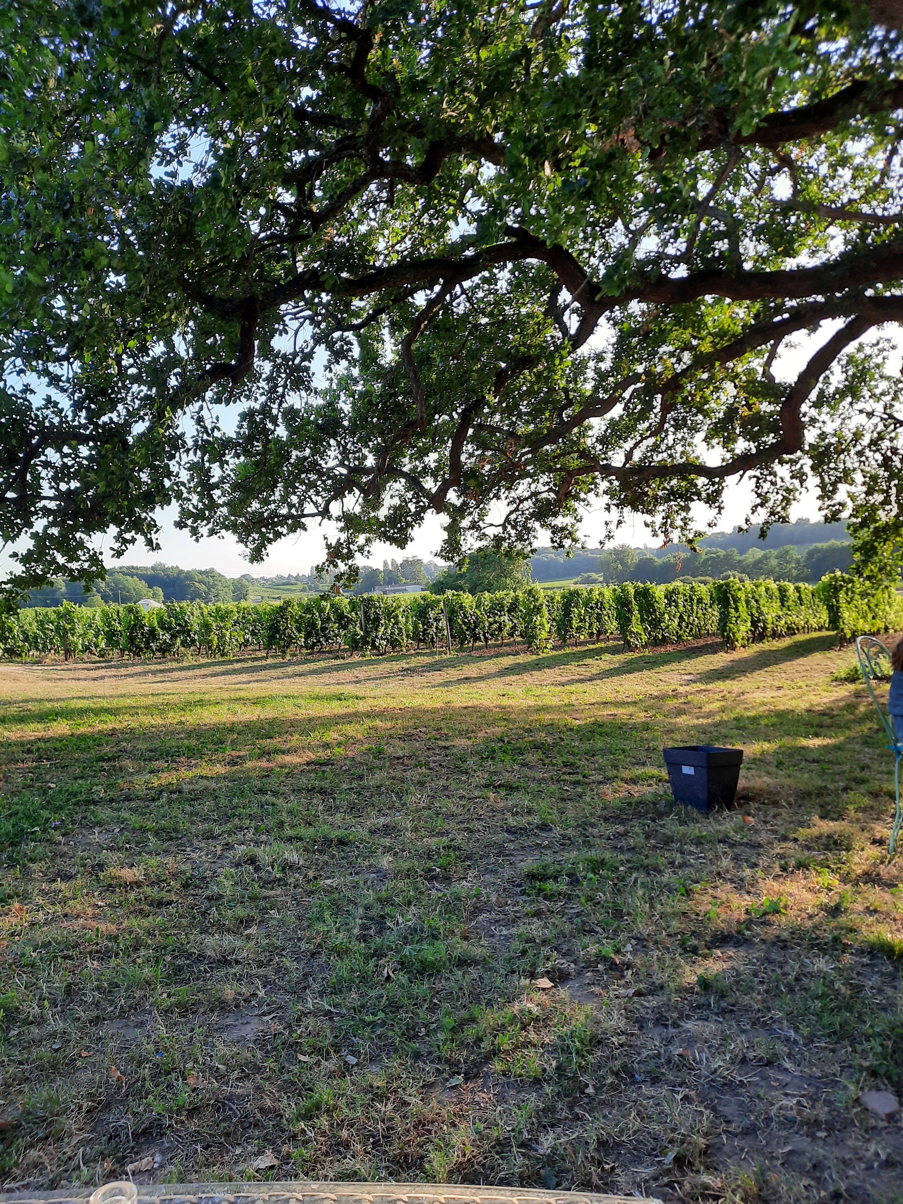 Photo n° 1 de l'avis de brigitte.h fait le 17/07/2020 à 19:56