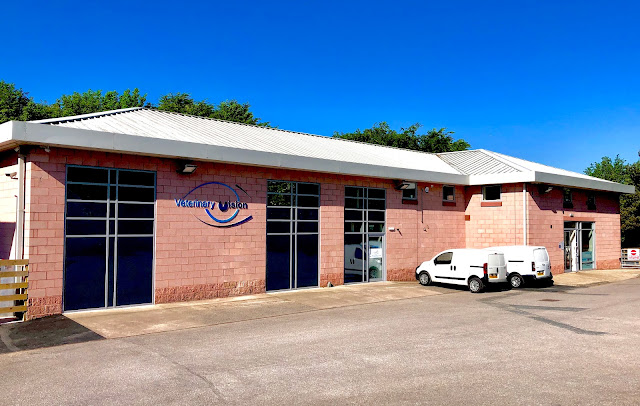Veterinary Vision Limited