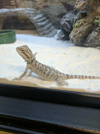 Pet Supply Store «PetSmart», reviews and photos, 919 Lakeland Park Center Dr Unit 380, Lakeland, FL 33809, USA