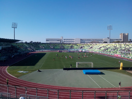 Estadio Elías Figueroa Brander