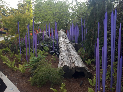 Art Museum «Seattle Art Museum», reviews and photos, 1300 1st Ave, Seattle, WA 98101, USA