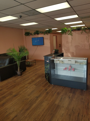 Explore barbed wire tattoo cover up ideas, creative tattoo ideas in Redding, available at Fetch Body Piercing