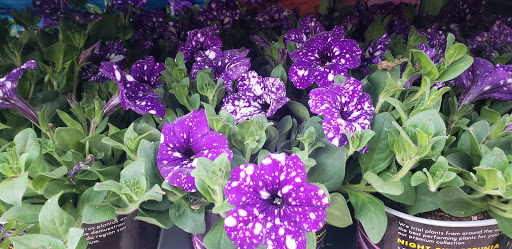 Home Improvement Store «The Home Depot», reviews and photos, 860 E Dunne Ave, Morgan Hill, CA 95037, USA