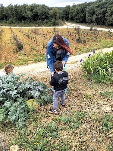 Domaine La Grangue à Carcès