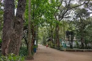 Parque Piqueri image