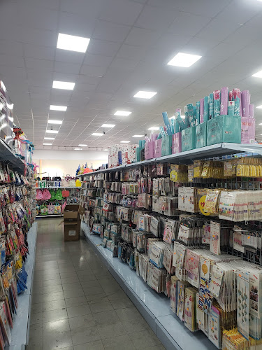 Centro Comercial El Rosal - Maipú