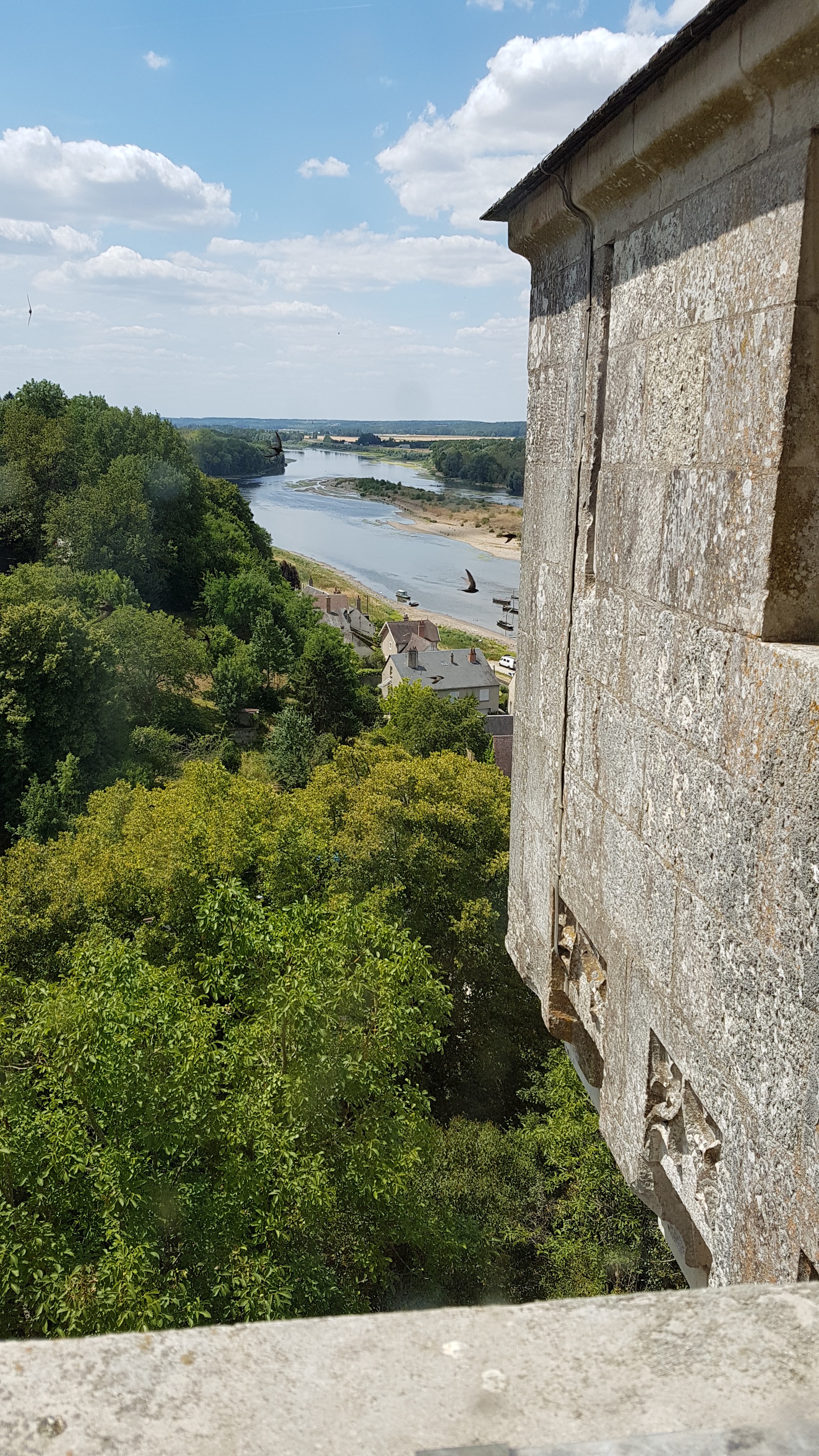 Photo n° 23 de l'avis de Jean.i fait le 13/07/2019 à 17:59