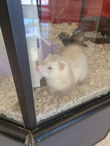 Pet Supply Store «Petco Animal Supplies», reviews and photos, 8700 Preston Rd #105, Plano, TX 75024, USA