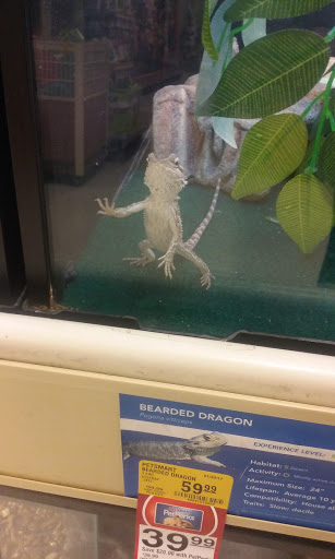 Pet Supply Store «PetSmart», reviews and photos, 5 Mystic View Rd, Everett, MA 02149, USA