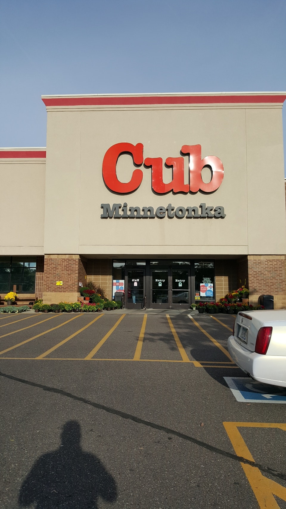 Cub - Minnetonka