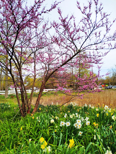 Zoo «Cosley Zoo», reviews and photos, 1356 N Gary Ave, Wheaton, IL 60187, USA