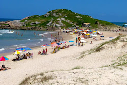 Photo de Praia da Ferrugem avec rivage droit, long