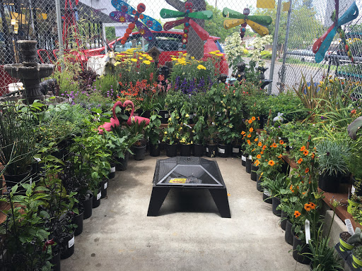 Hardware Store «Hollywood Hardware», reviews and photos, 5303 Freeport Blvd, Sacramento, CA 95822, USA