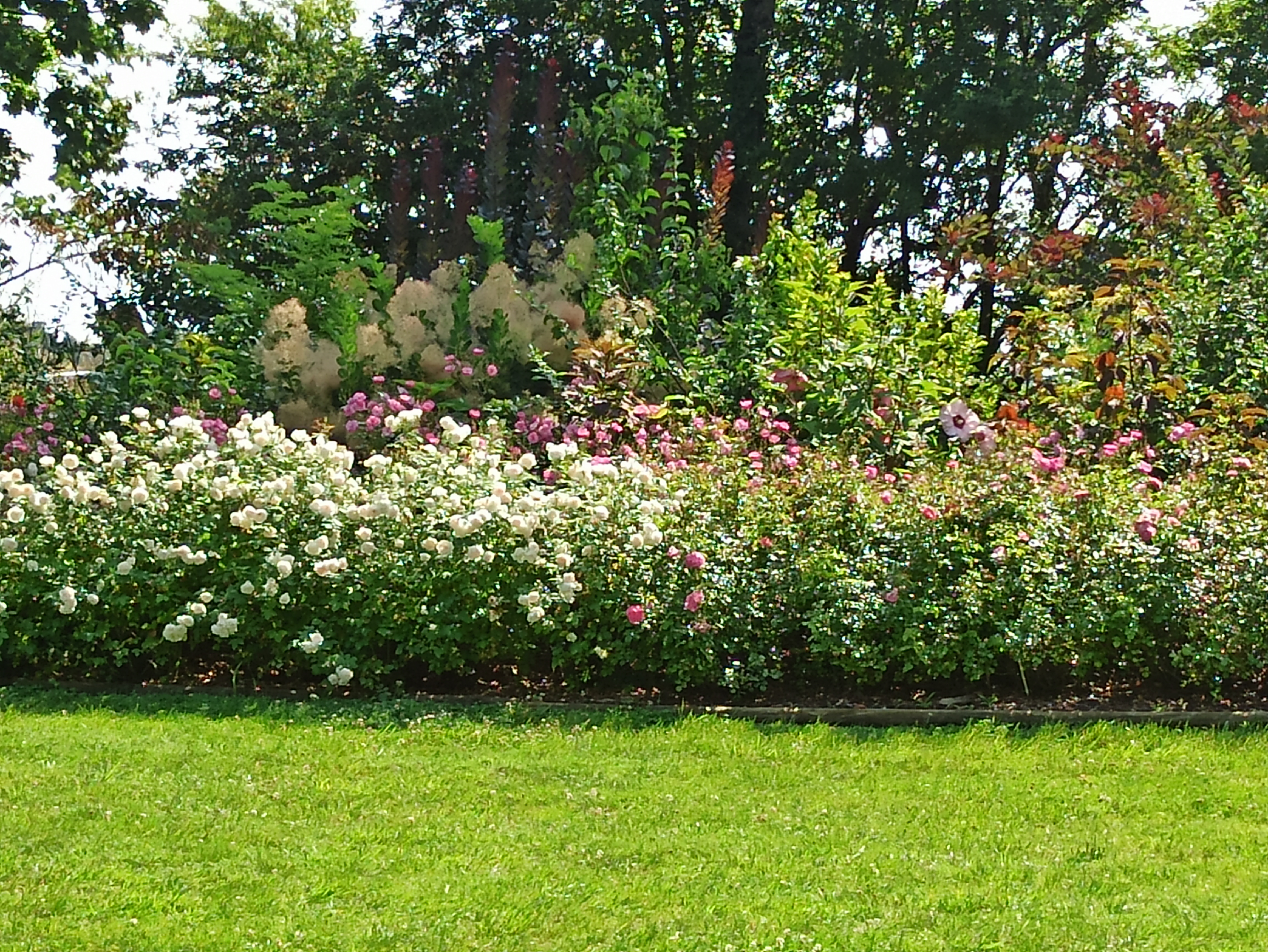 Photo n° 4 de l'avis de Thierry.e fait le 23/07/2023 à 18:50