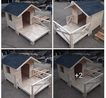 Casas Para Perro Dog Home