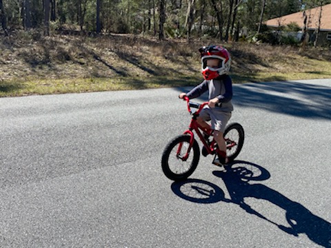 Bicycle Store «Brick City Bicycles», reviews and photos, 217 SE 1st Ave #200, Ocala, FL 34471, USA